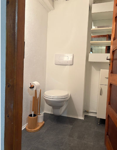 WC 2 chalet Morzine